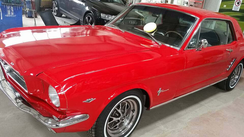 Bilder Fahrzeugpflege Allclean  T.Heinsch