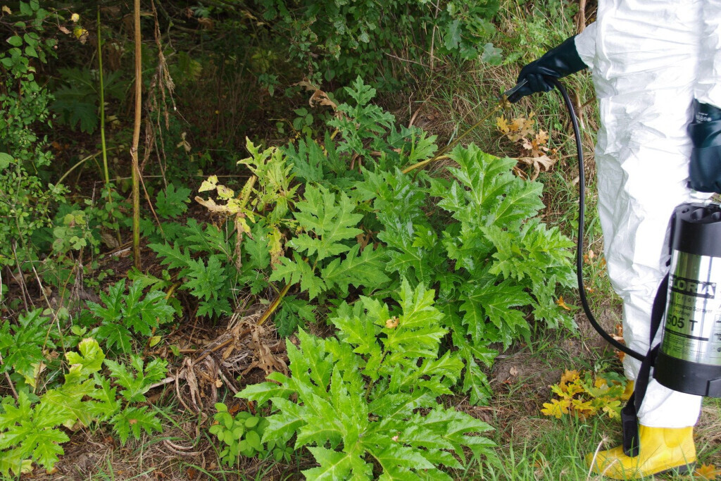 Bilder Enviro Pest Control GmbH Niederlassung Hannover - Isernhagen