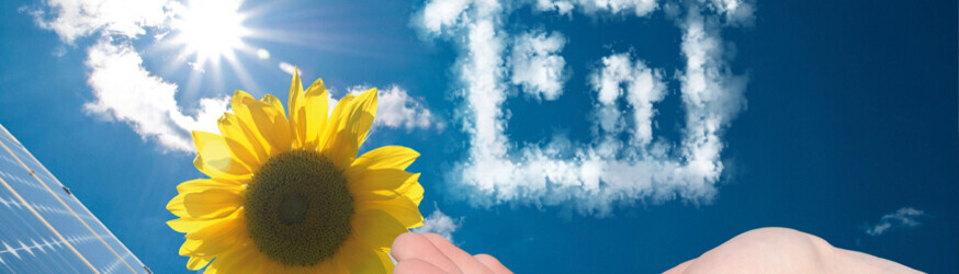 Bilder Bastian Gebäudetechnik