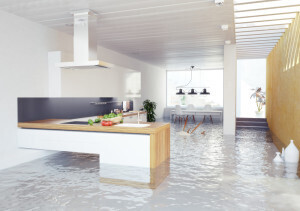 Bilder Die Sanierungsprofis