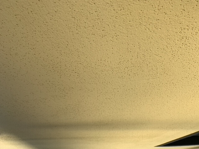 Bilder GB Malerei Malermeister