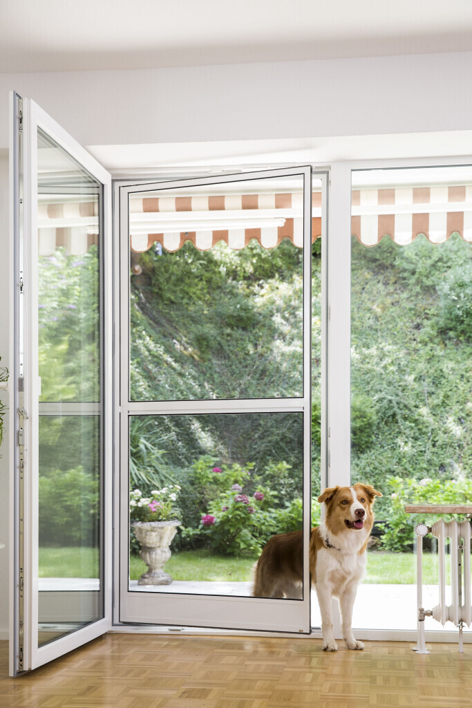 Bilder Insektenschutz Rabus