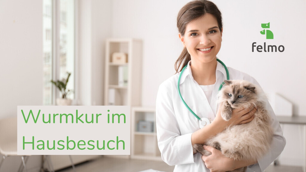 Bilder felmo Mobiler Tierarzt Düsseldorf