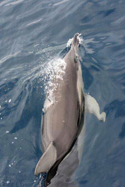 Bilder Reisebüro Claudia Schnell