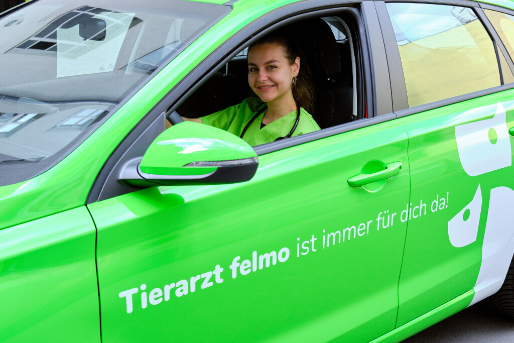 Bilder felmo mobiler Tierarzt Hamburg