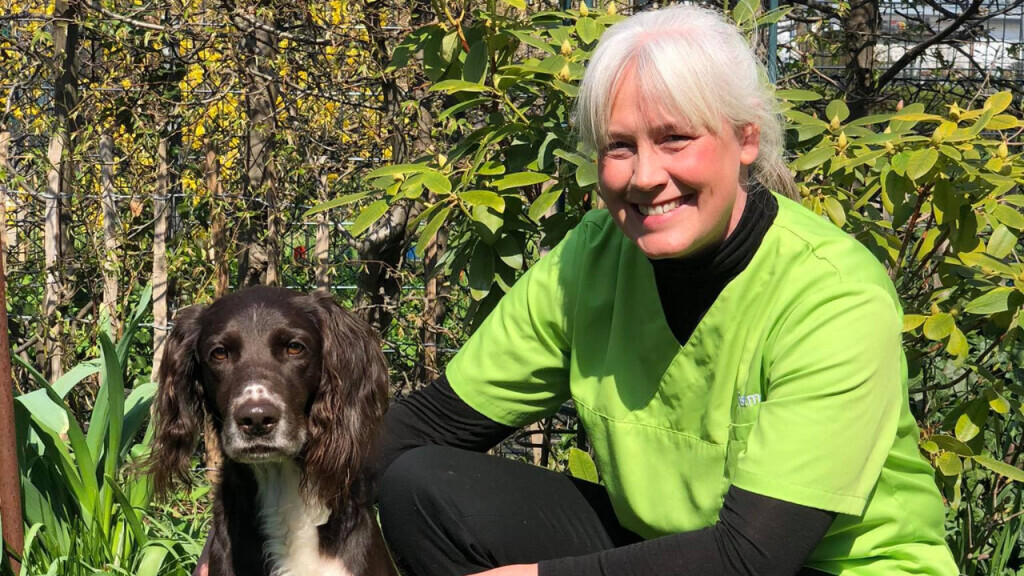 Bilder felmo mobiler Tierarzt Hamburg