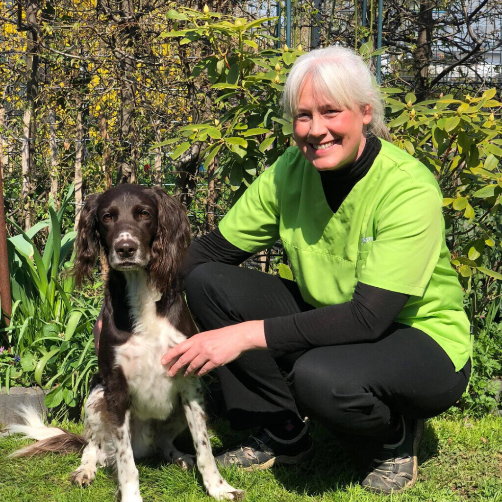 Bilder felmo Mobiler Tierarzt Hannover