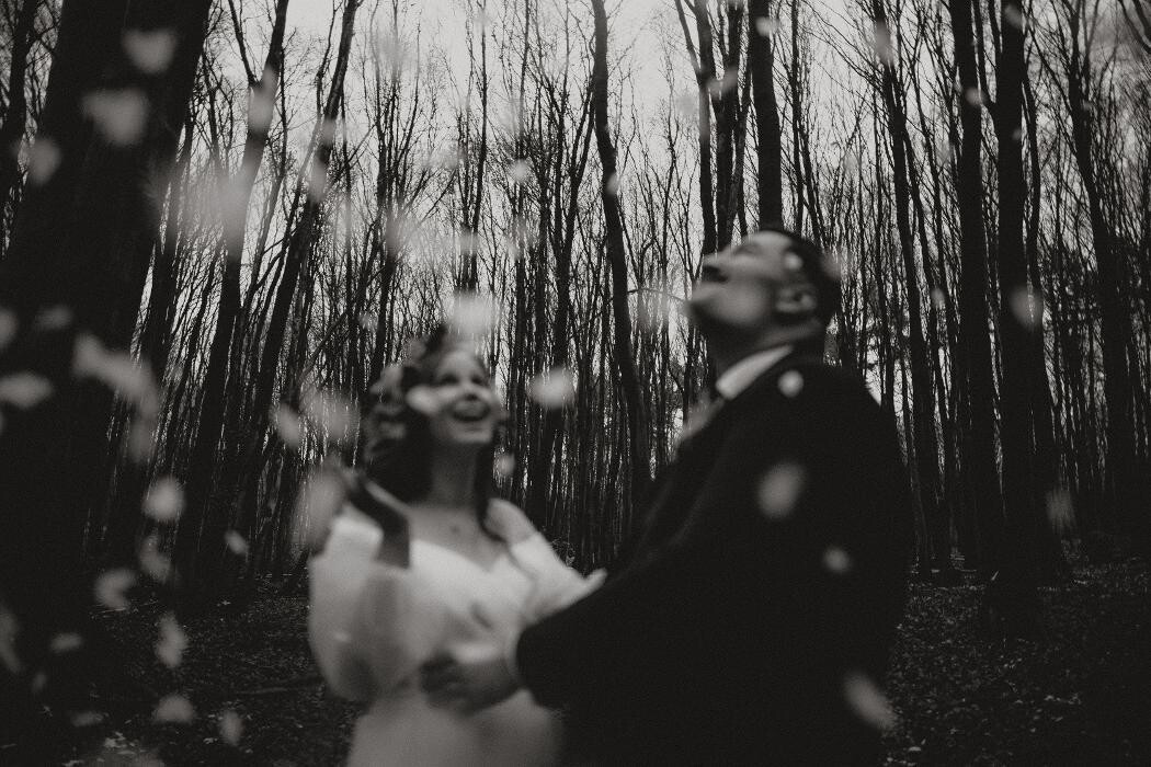 Bilder Aurelian D Photography