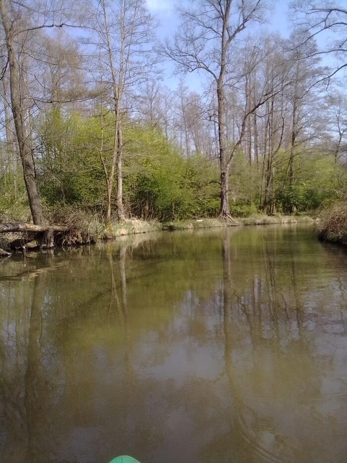 Bilder Hochwald-Kahnfahrt.