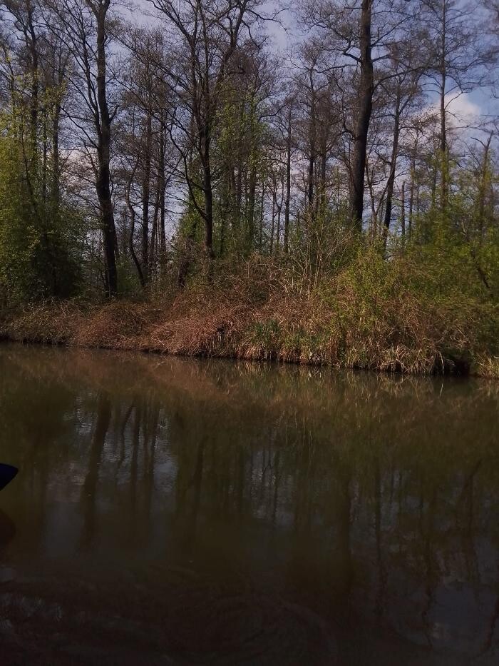 Bilder Hochwald-Kahnfahrt.