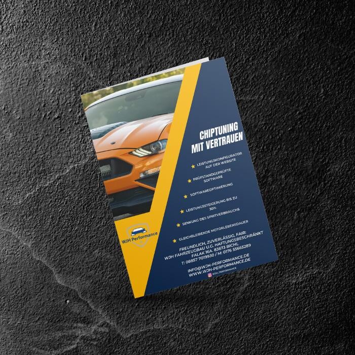 Bilder Flyer-Geng by Fabian Geng