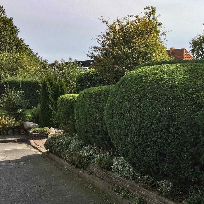 Bilder GARTENversteher