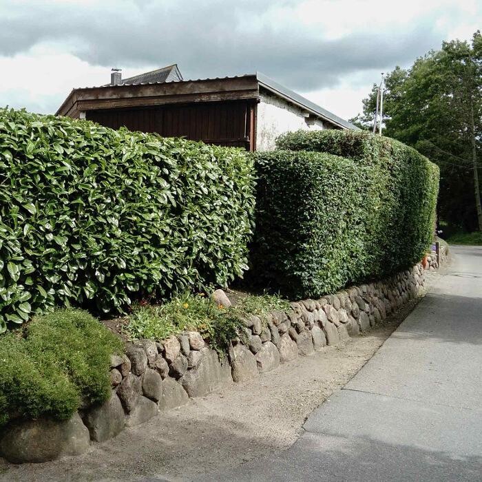 Bilder GARTENversteher