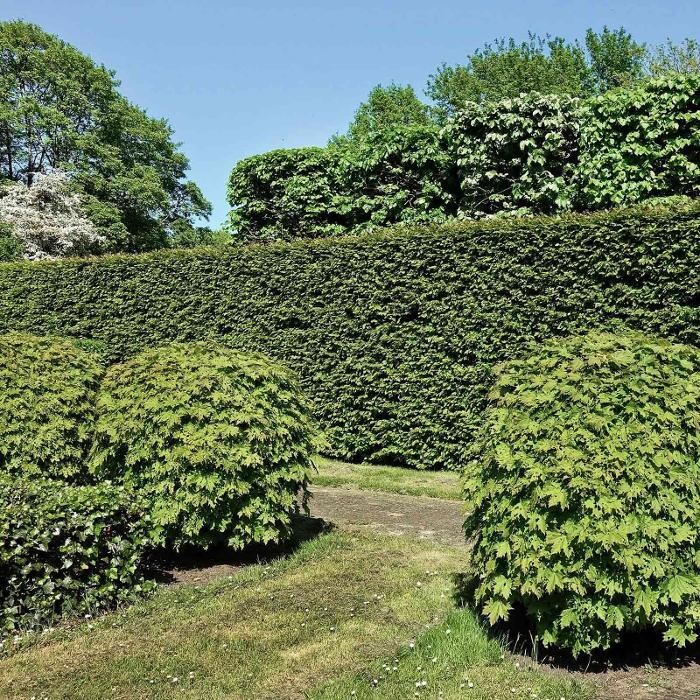 Bilder GARTENversteher
