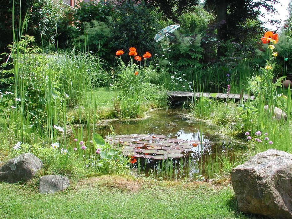Bilder GARTENversteher