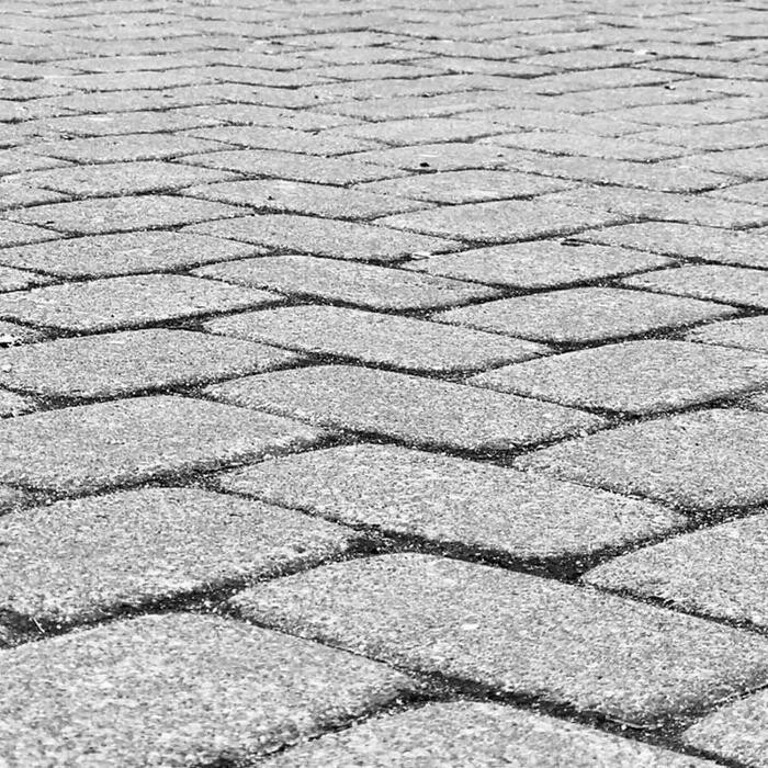 Bilder GARTENversteher