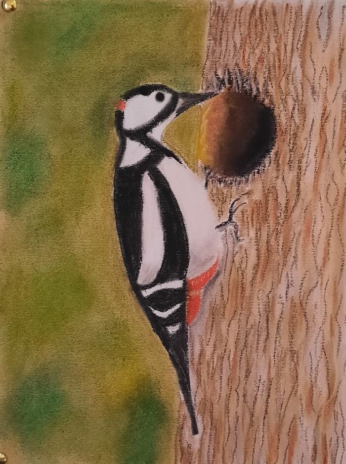 Bilder Kinderpsychotherapie München