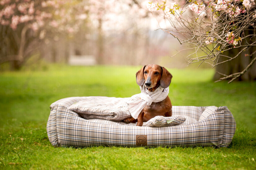 Bilder Visco4Dogs GbR