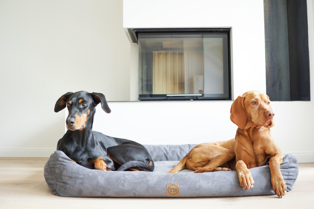 Bilder Visco4Dogs GbR