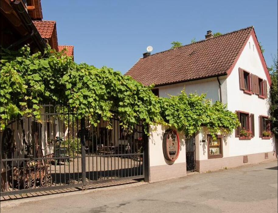 Bilder Weingut & Gästehaus Thomas Schwibinger