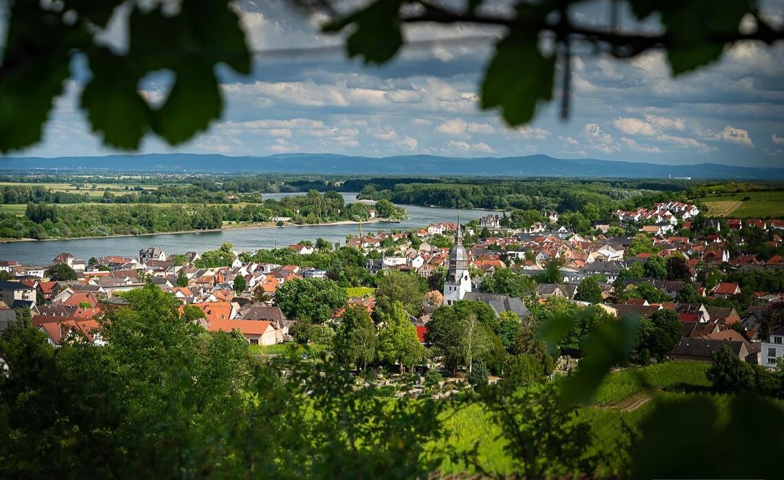 Bilder Weingut & Gästehaus Thomas Schwibinger