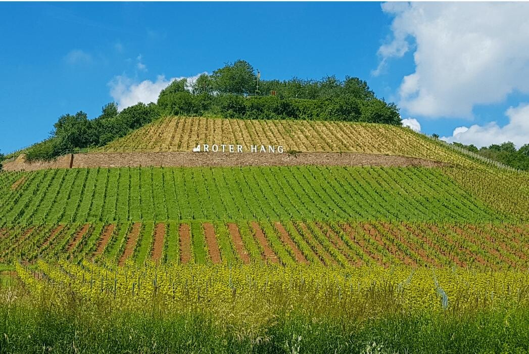 Bilder Weingut & Gästehaus Thomas Schwibinger