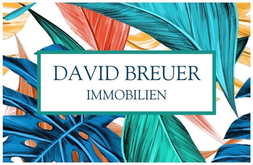 DAVID BREUER IMMOBILIEN Logo