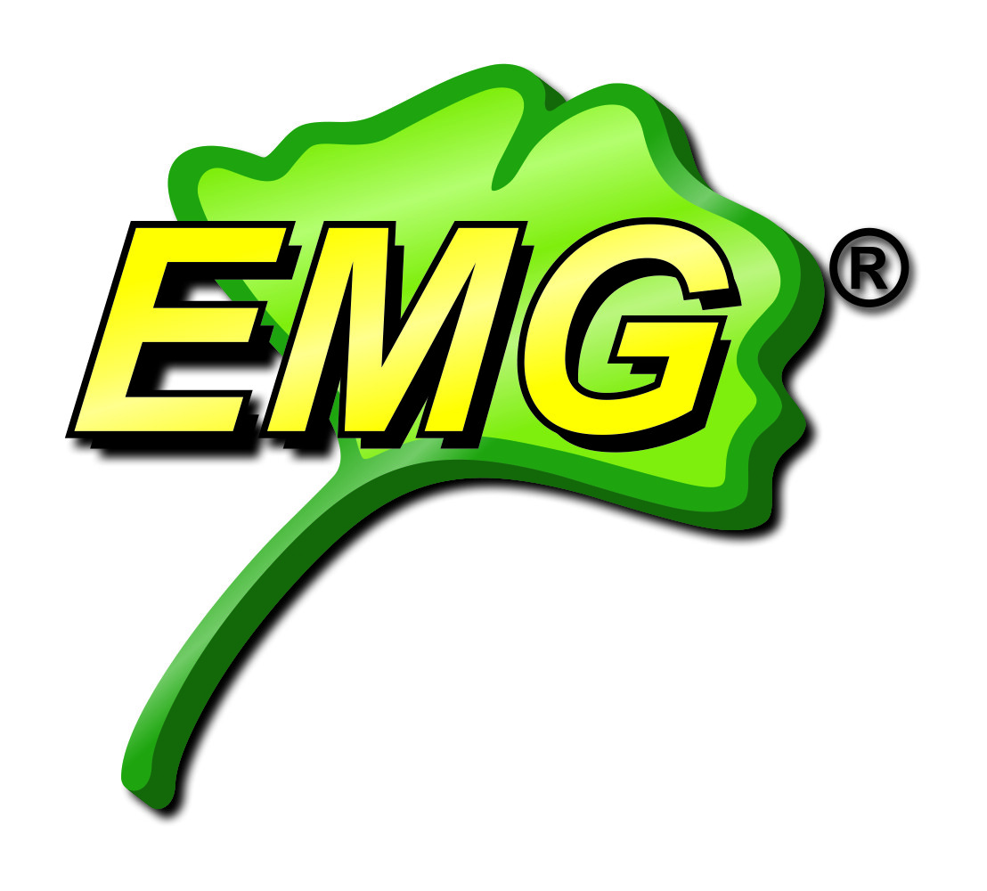 EMG International Logo