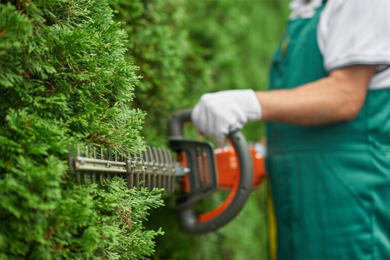 Bilder Jurak Gartendesign
