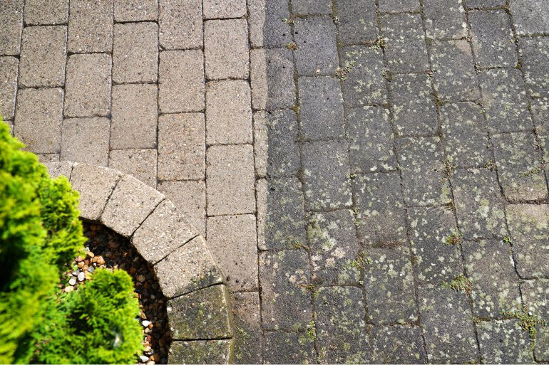 Bilder Jurak Gartendesign