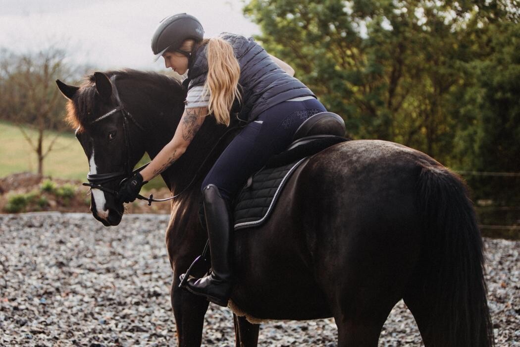 Bilder JK Sportpferde Pferdezucht Akupunktur Coaching mit Pferden