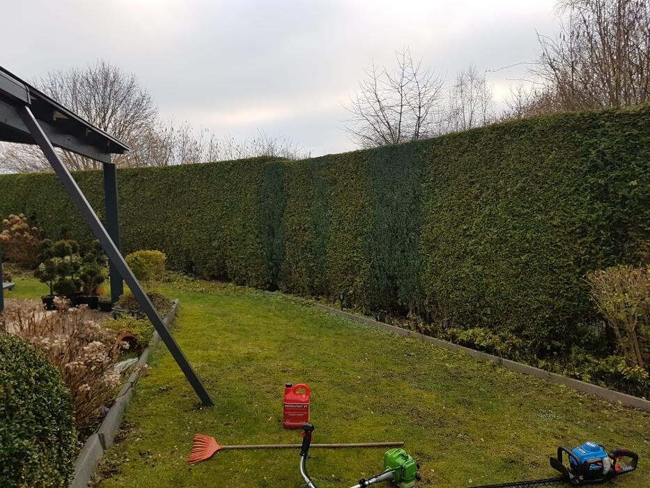 Bilder M.M Gartenpflegedienst