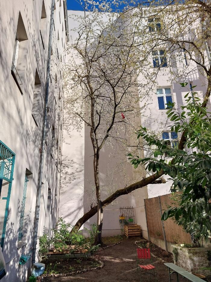 Bilder Angstfreier leben - Praxis für Ängste, Phobien und Panikattacken überwinden Hypnose Berlin-Mitte