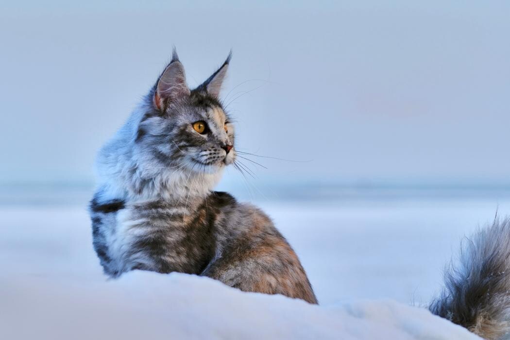 Bilder Toralph Köpcke Fotografie und Fotodesign
