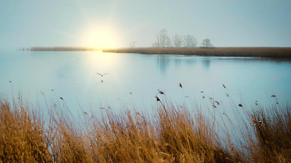 Bilder Toralph Köpcke Fotografie und Fotodesign