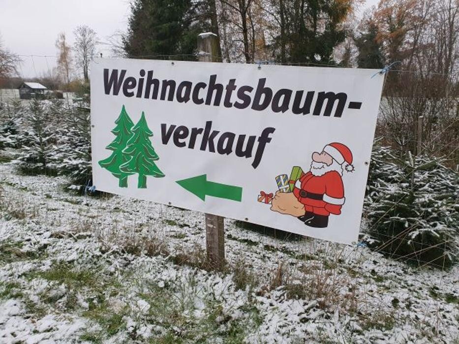 Bilder Natürlich Nordmann, Weihnachtsbäume aus naturnahem Anbau