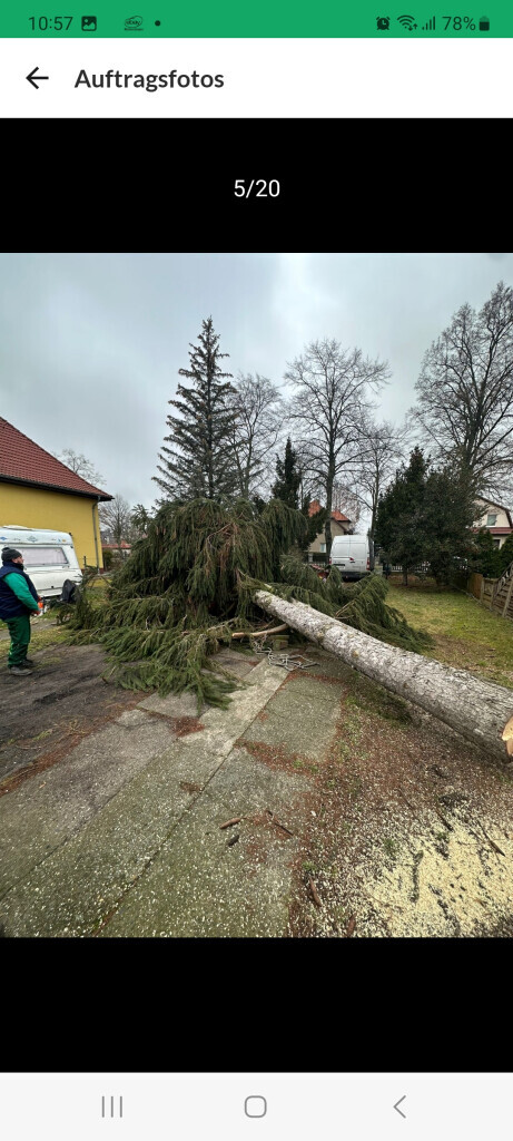 Bilder Limaj - Garten und Gebäudeservice