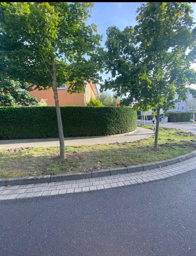 Bilder Limaj - Garten und Gebäudeservice