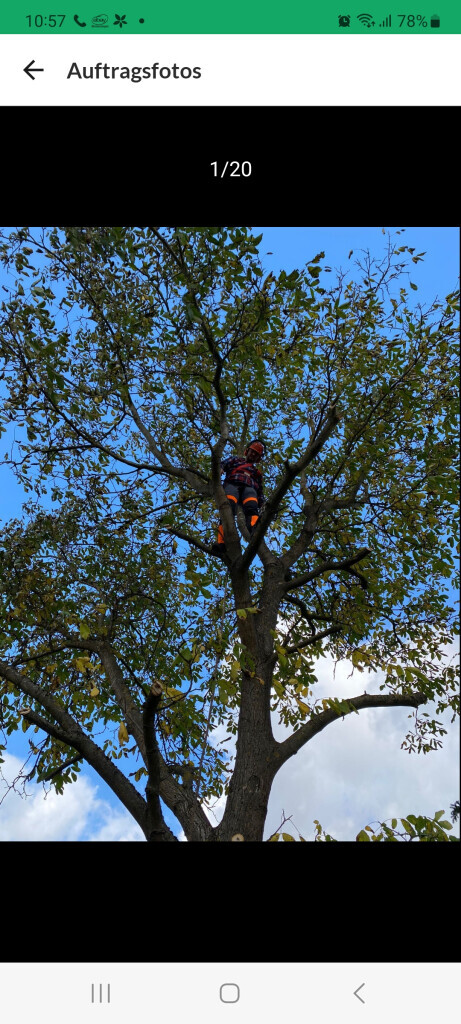 Bilder Limaj - Garten und Gebäudeservice