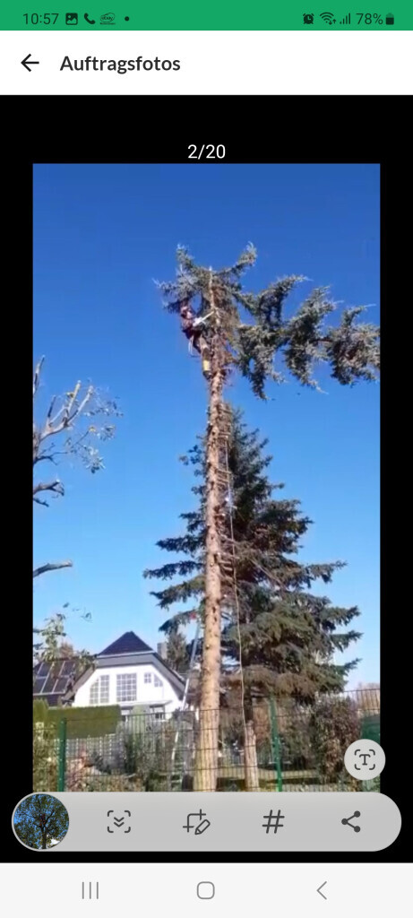 Bilder Limaj - Garten und Gebäudeservice