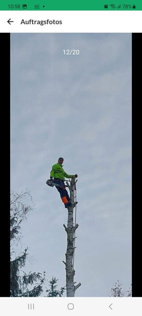 Bilder Limaj - Garten und Gebäudeservice