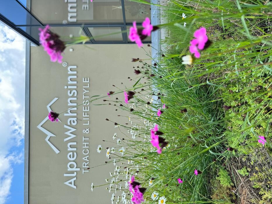Bilder ALPENWAHNSINN