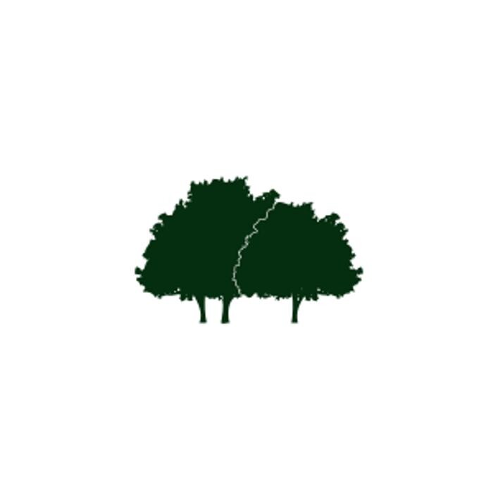 BaumRaum Gbr Logo