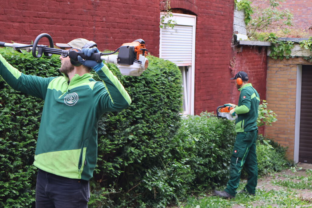 Bilder BeJo Grün GmbH