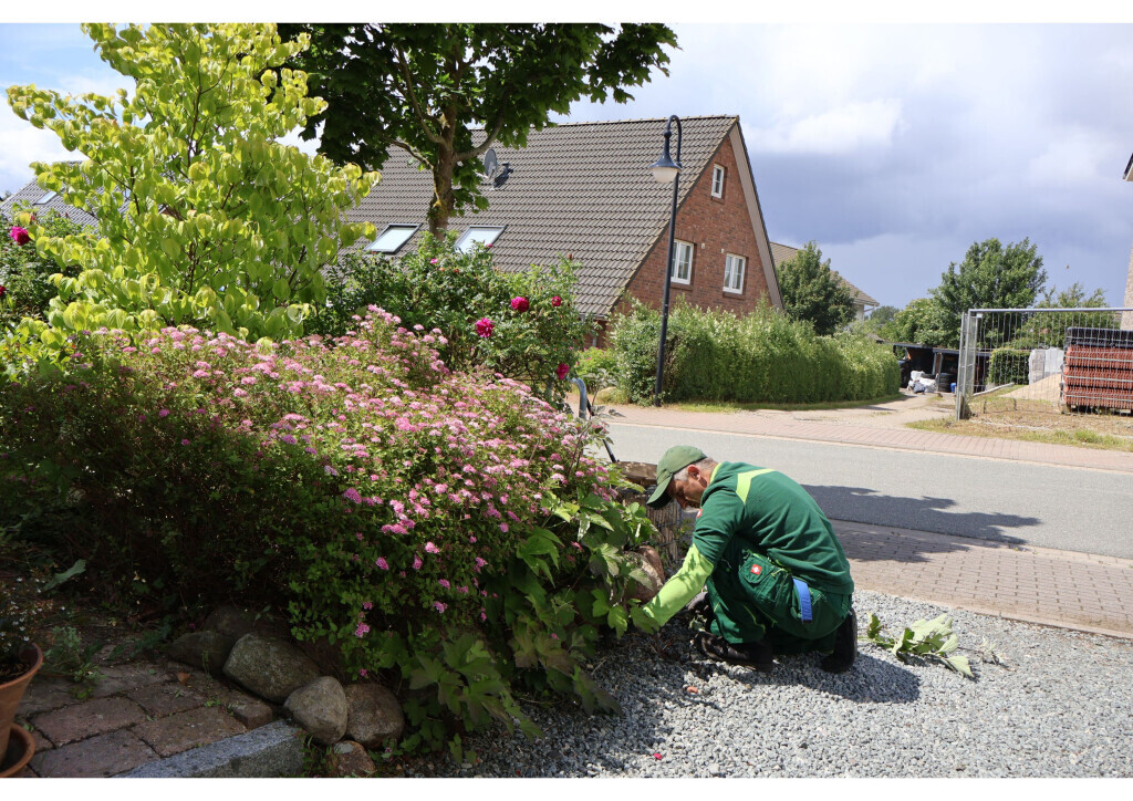 Bilder BeJo Grün GmbH