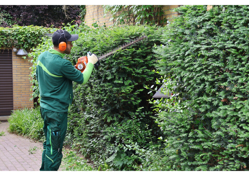 Bilder BeJo Grün GmbH