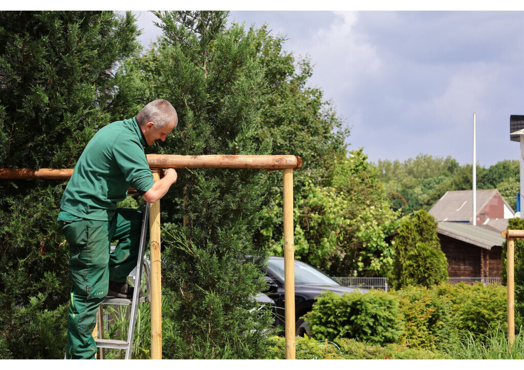 Bilder BeJo Grün GmbH