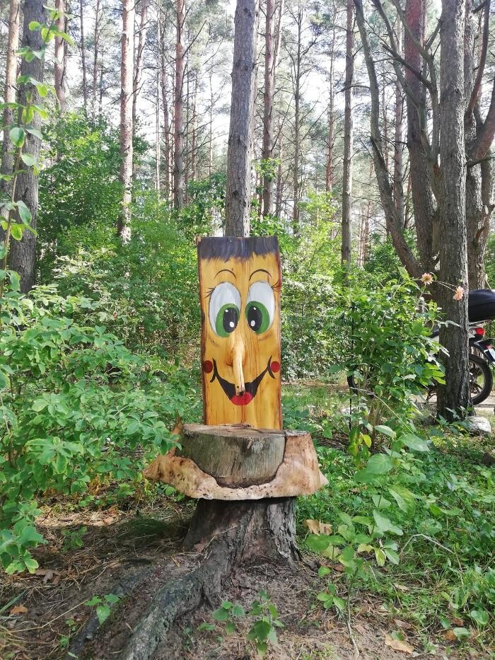 Bilder Ferienhausanlage Kagarsee