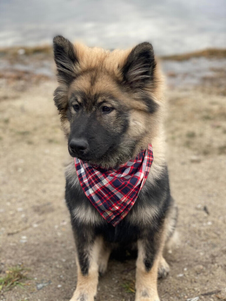 Bilder Allianz Versicherung Jens Horn