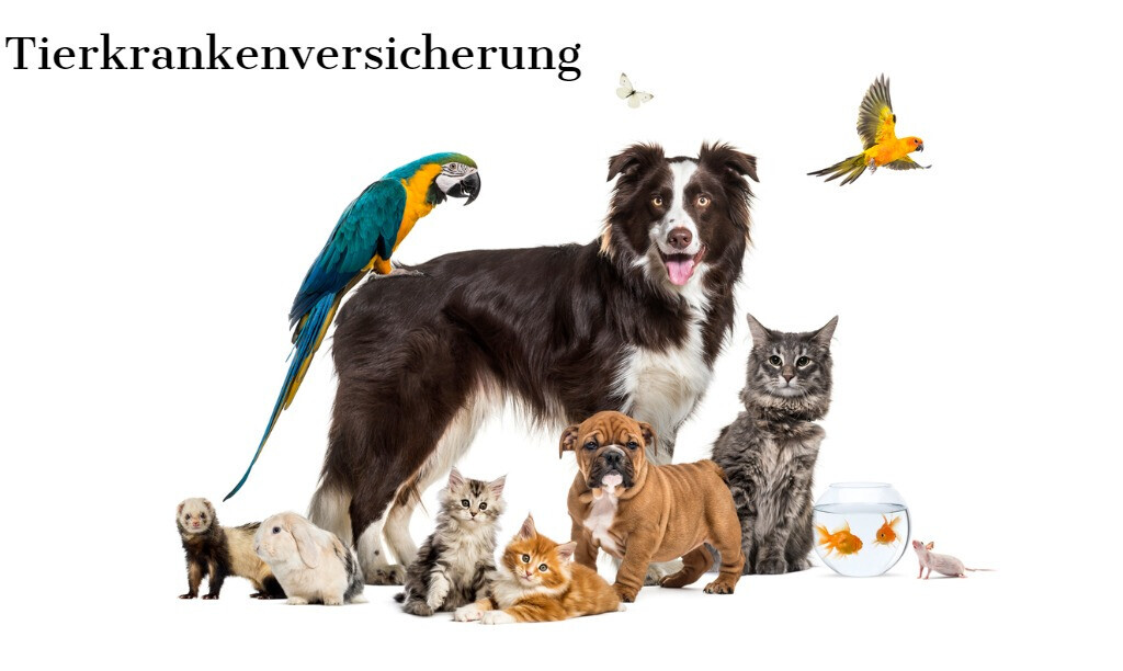 Bilder Allianz Versicherung Jens Horn